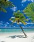 Preview: Fototapete 184 x 254 cm - 4-883 Ari Atoll – versandkostenfrei in D*